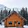 Alaska Log Cabins in Woods