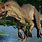 Allosaurus Rex