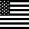American Flag Black N White