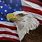 American Flag Eagle Painting