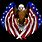 American Flag Eagle Wings