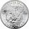 American Silver Dollar Coin