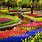 Amsterdam Flower Garden