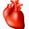 Anatomical Heart Clip Art Free