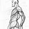Anatomical Sketch Human Body