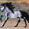 Andalusian Breyer Horse