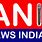Ani News Logo