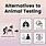 Animal Testing Alternatives