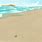 Animated Beach Sand
