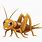 Animated Cricket Bug