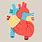 Animated Human Body Heart