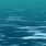 Animated Ocean Water
