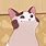 Anime Cat PFP GIF