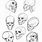Anime Skull Anatomy
