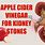 Apple Cider Vinegar for Kidney Stones