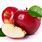 Apple Fruit Picture HD