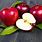 Apple Fruit Wallpaper HD