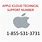 Apple Support Number