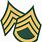 Army NCO Logo