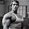 Arnold Schwarzenegger Biggest