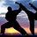 Asian World Martial Arts