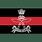 Assam Rifles Flag