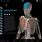 Atlas Anatomia 3D