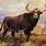Aurochs Cow