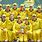 Australian Ladies Cricket Team