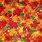 Autumn Fabric Texture