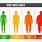 BMI Visual Chart