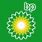 BP Green Logo
