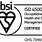 BSI ISO 45001 Logo