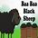 Baa Black Sheep Nursery
