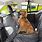 Back Seat Dog Covers for Cars