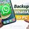 Backup Whats App to PC