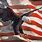 Bald Eagle American Flag Art
