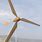 Balsa Wood Wind Turbine Blades