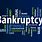 Bankruptcy Graphics