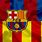 Barcelona Flag Logo