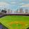Baseball Field Painting