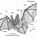 Bat Anatomy Drawing