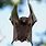 Bat Standink Upright
