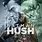 Batman Hush Animated Movie