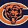 Bears Team