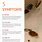 Bed Bug Symptoms and Signs