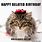 Belated Birthday Cat