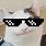 Beluga Cat Sunglasses