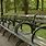 Bench in Central Park Photo