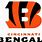Bengals White Logo